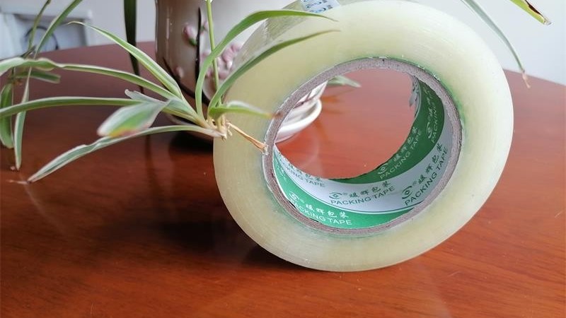 正确选择麻豆视频下载供应商，为您节约15%包装成本