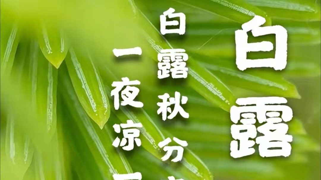 亚洲麻豆性爱视频包装麻豆视频下载厂家：白露到，秋渐深