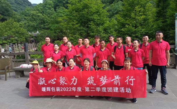 成都麻豆视频下载厂家