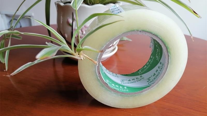 麻豆视频下载的几大用处您都知道吗？